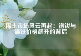 稀土市场风云再起：镨钕与镝铁价格飙升的背后