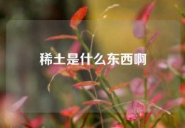 稀土是什么东西啊