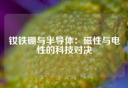 钕铁硼与半导体：磁性与电性的科技对决