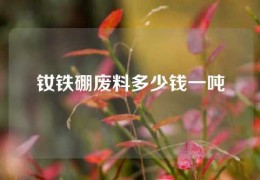 钕铁硼废料多少钱一吨