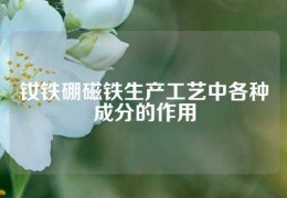 钕铁硼磁铁生产工艺中各种成分的作用