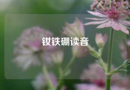 钕铁硼读音