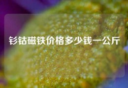 钐钴磁铁价格多少钱一公斤