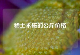 稀土永磁的公斤价格