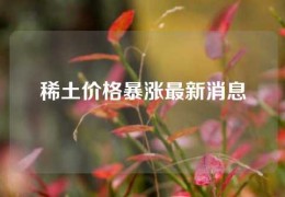 稀土价格暴涨最新消息