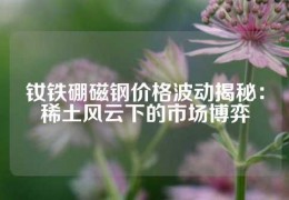 钕铁硼磁钢价格波动揭秘：稀土风云下的市场博弈