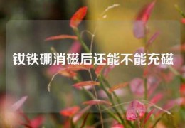 钕铁硼消磁后还能不能充磁