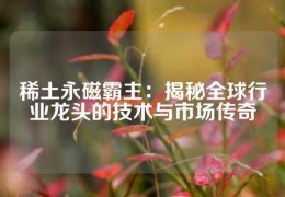 稀土永磁霸主：揭秘全球行业龙头的技术与市场传奇