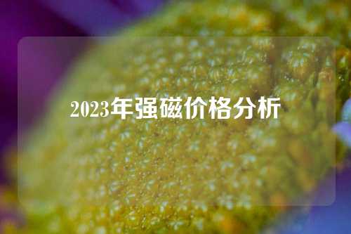 2023年强磁价格分析