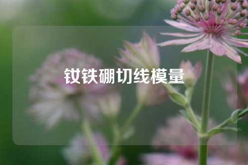 钕铁硼切线模量