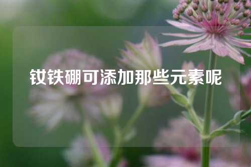 钕铁硼可添加那些元素呢