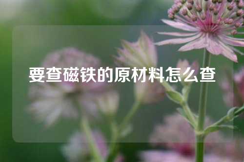 要查磁铁的原材料怎么查