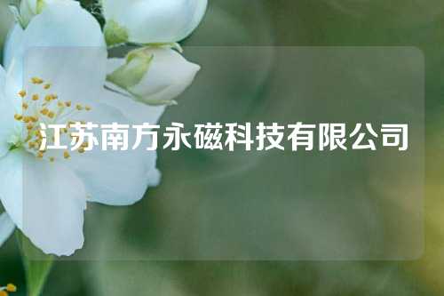 江苏南方永磁科技有限公司