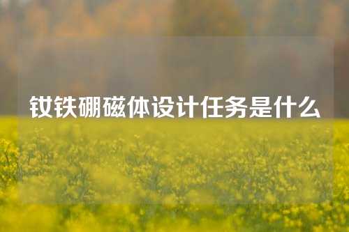 钕铁硼磁体设计任务是什么