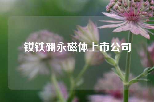 钕铁硼永磁体上市公司