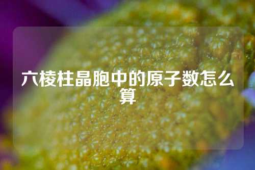 六棱柱晶胞中的原子数怎么算