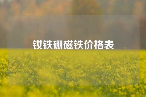 钕铁硼磁铁价格表