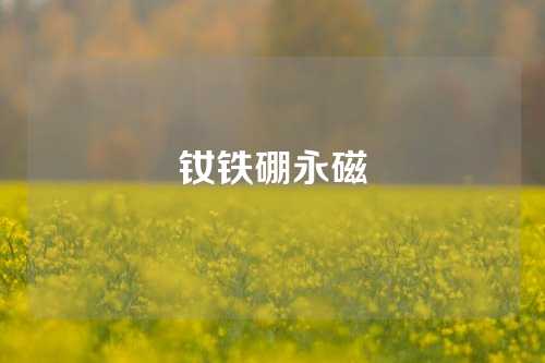 钕铁硼永磁