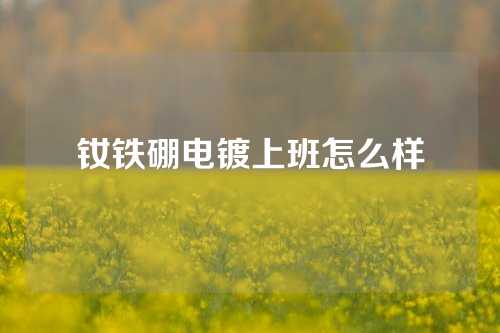 钕铁硼电镀上班怎么样