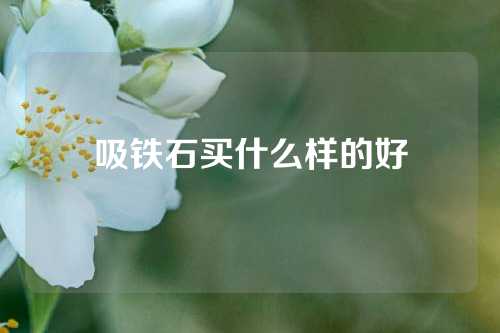 吸铁石买什么样的好