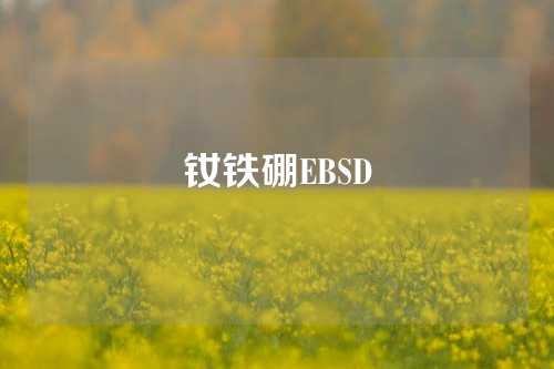 钕铁硼EBSD