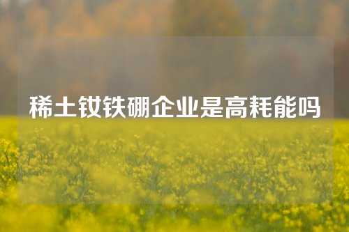 稀土钕铁硼企业是高耗能吗