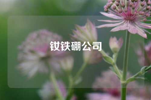 钕铁硼公司