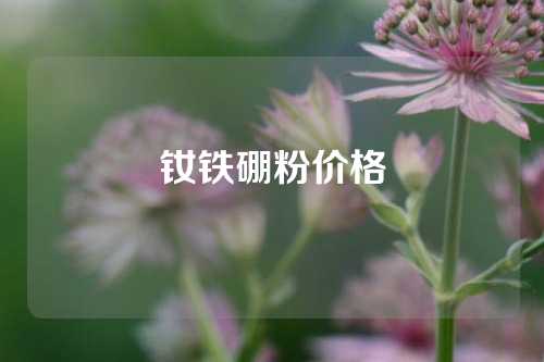 钕铁硼粉价格