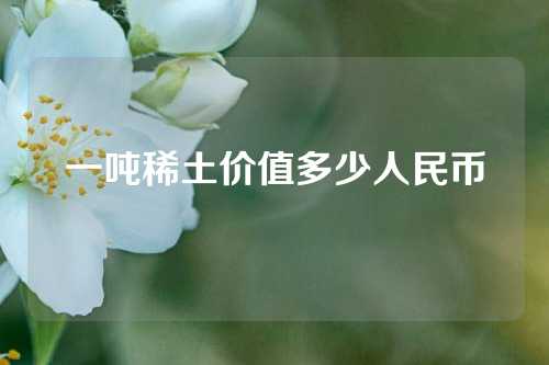 一吨稀土价值多少人民币