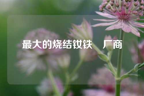 最大的烧结钕铁錋厂商