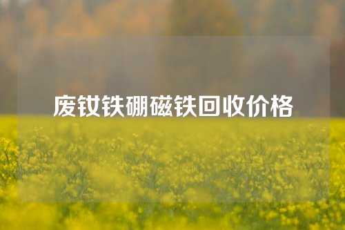 废钕铁硼磁铁回收价格