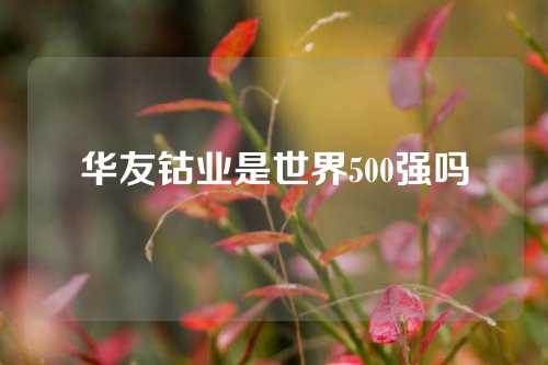 华友钴业是世界500强吗