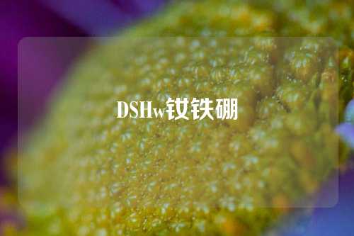 DSHw钕铁硼