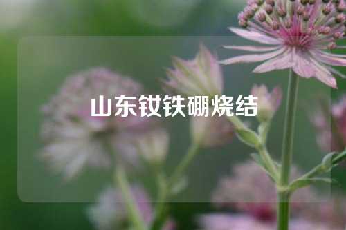 山东钕铁硼烧结