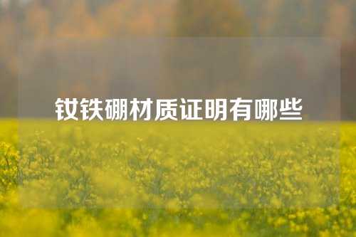 钕铁硼材质证明有哪些