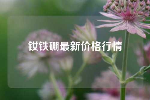 钕铁硼最新价格行情