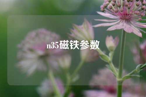 n35磁铁参数