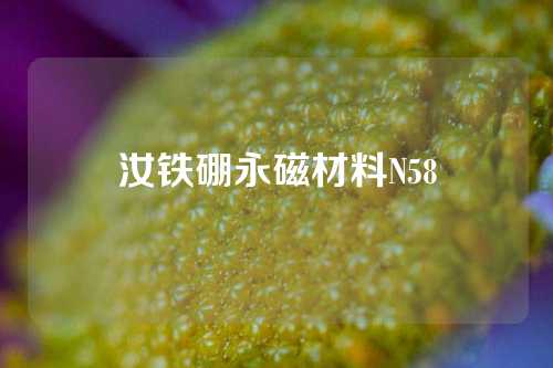 汝铁硼永磁材料N58