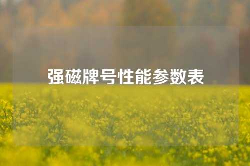 强磁牌号性能参数表