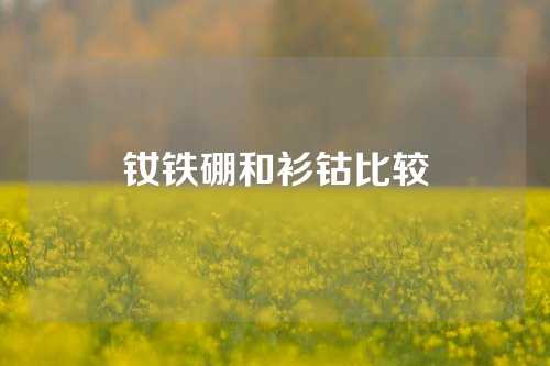 钕铁硼和衫钴比较