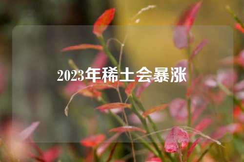 2023年稀土会暴涨