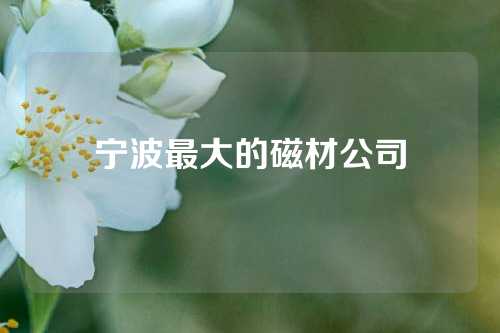 宁波最大的磁材公司