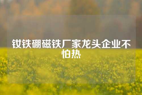 钕铁硼磁铁厂家龙头企业不怕热