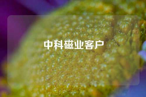 中科磁业客户