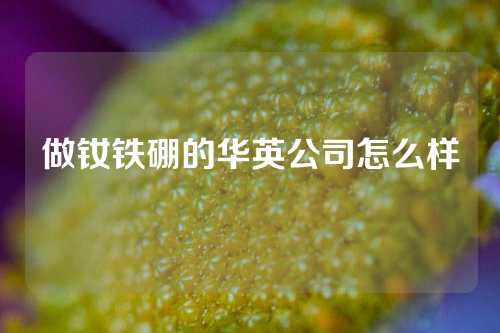 做钕铁硼的华英公司怎么样