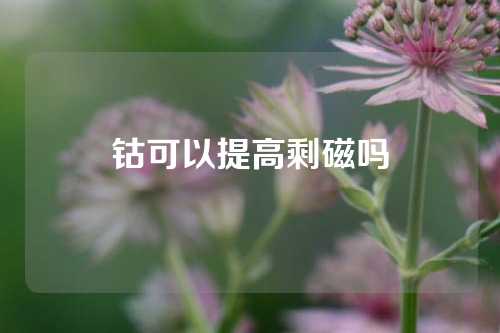 钴可以提高剩磁吗