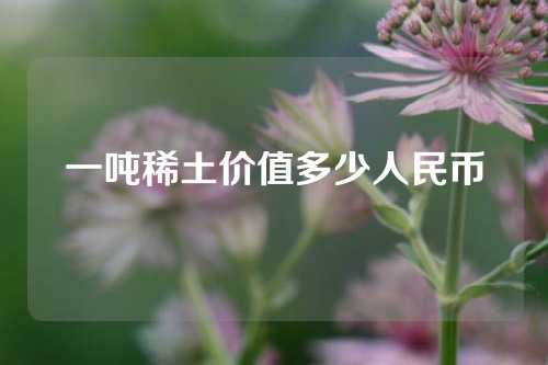 一吨稀土价值多少人民币