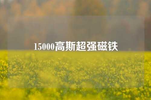 15000高斯超强磁铁