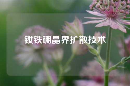 钕铁硼晶界扩散技术