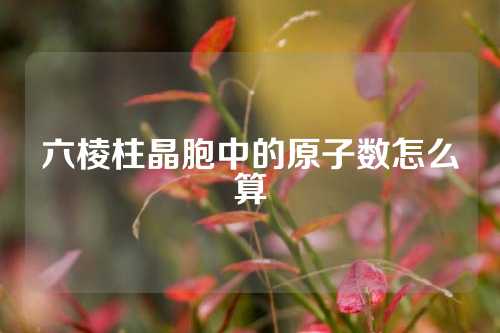 六棱柱晶胞中的原子数怎么算